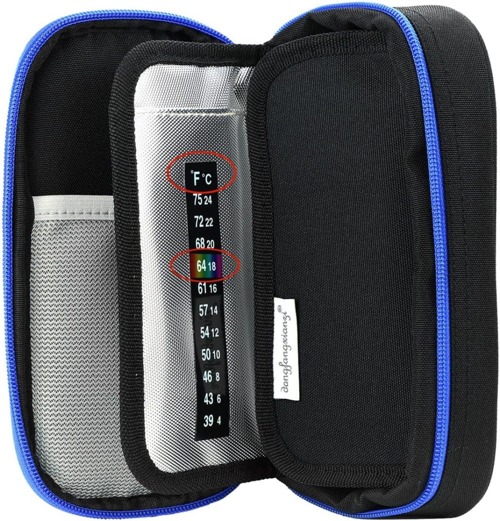 Travel case for weight loss pen