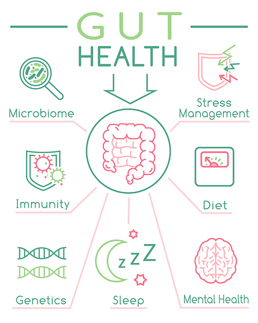Gut health